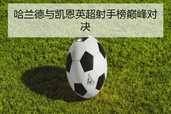 img_1791623661639_70_1_835.jpg